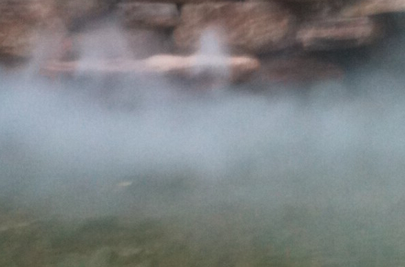 ������ɭϵͳ����ɭϵͳ���