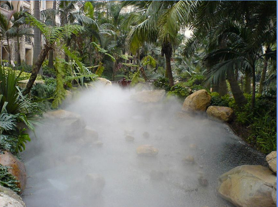 ��ɭϵͳ���