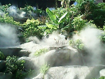 ��ɭϵͳ������Ƕ���