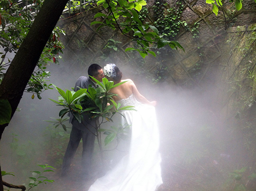 Ӱ������Ӧ��