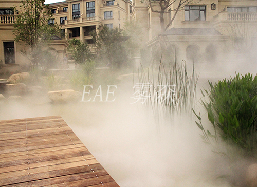 ��������ϵ����