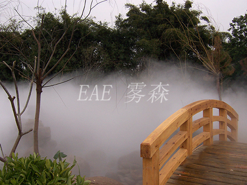 ��������ϵ����