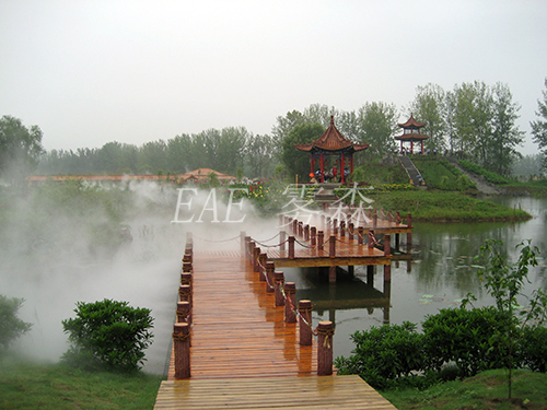 ��������ϵ����