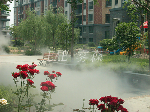 ��ֲ����