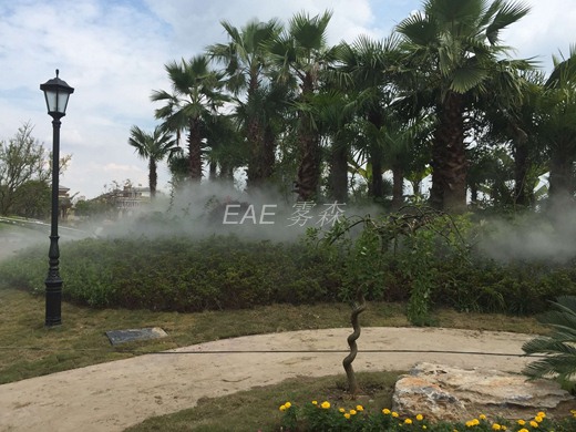 ��ֲ����