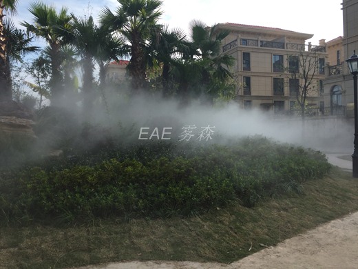 ��ֲ����