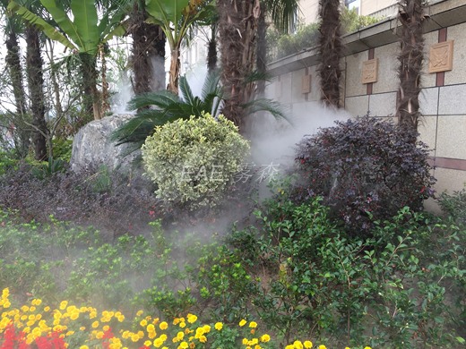 ��ֲ����