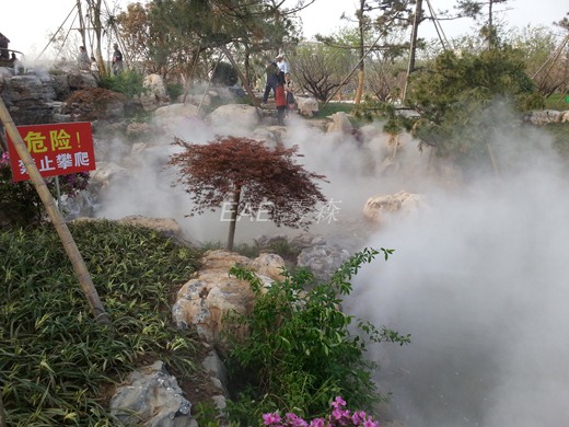 ��ֲ����