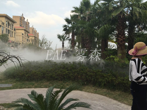 ��ֲ����